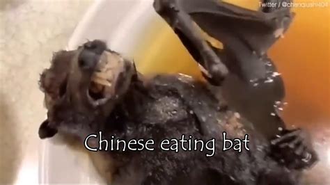 what kind of bats are eaten in china